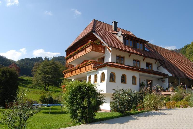 Wehrlemartinshof Apartment Simonswald Exterior photo